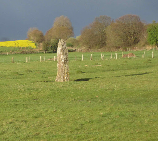 The Wibdon / Stroat Broad Stone