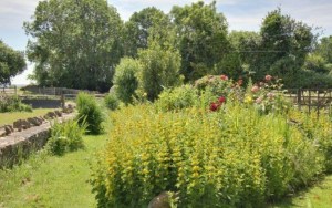 stroat-farm-cottage-garden-01