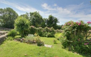 stroat-farm-cottage-garden-02